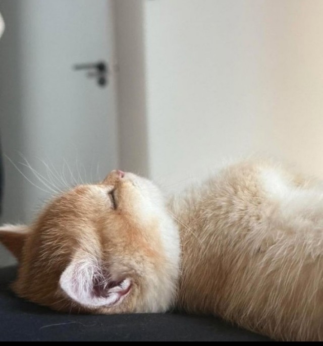 Выходной сегодня