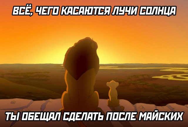 Так себе картинки 13.05.25