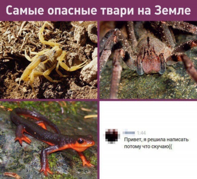 Дичь. Просто дичь
