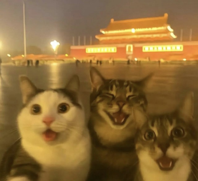 Местный и два лаовая