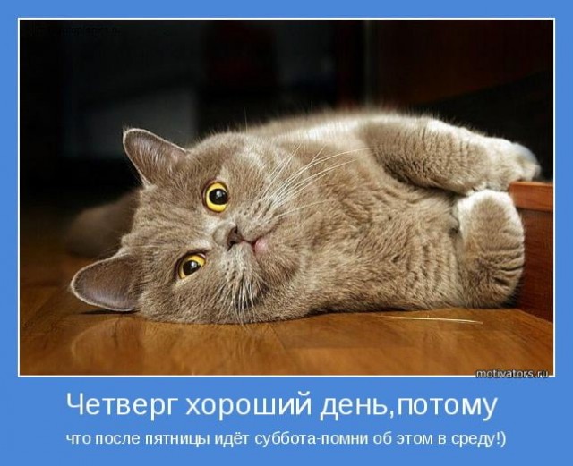 Четверговые картинки