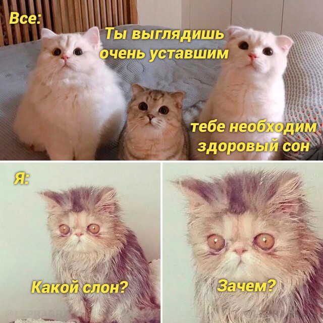 Картинки для деградации 70 (разной степени свежести)