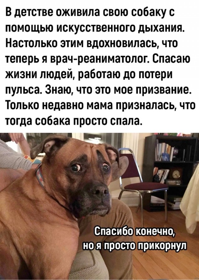 Так себе картинки 06.11.25