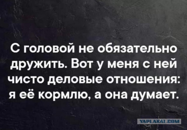 Так себе картинки 06.12.25