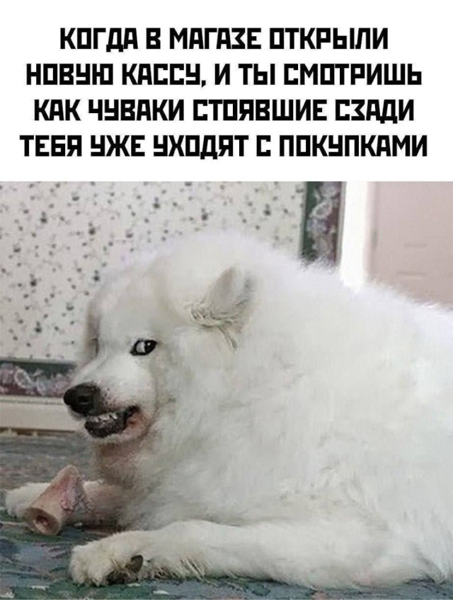 Четверговые картинки