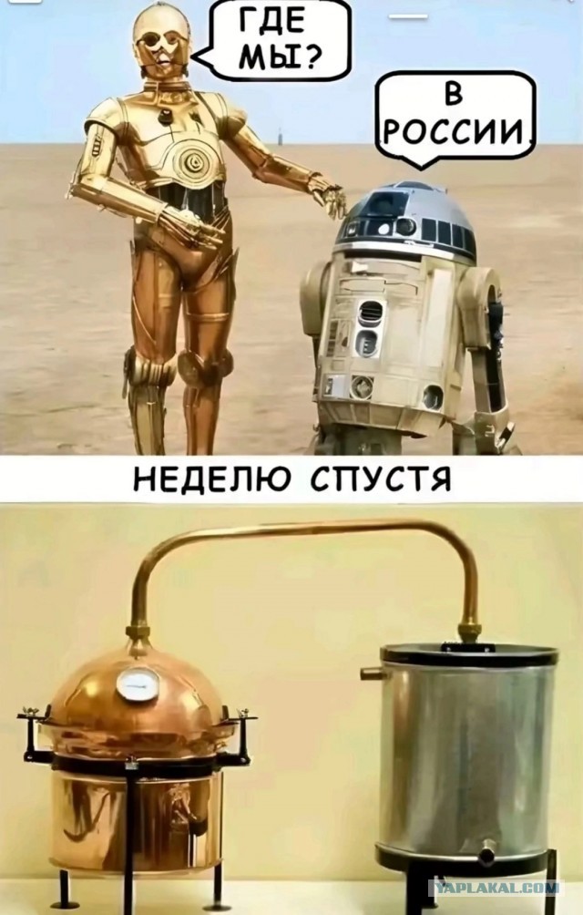 Картинки для деградации 122 (разной степени свежести)