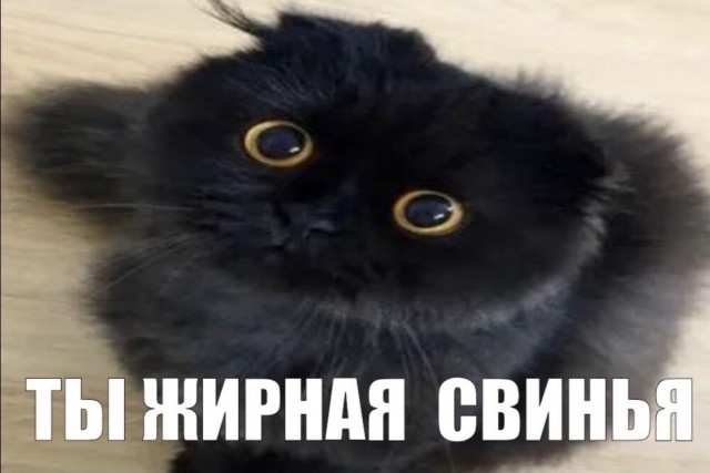 Самое главное, она верит