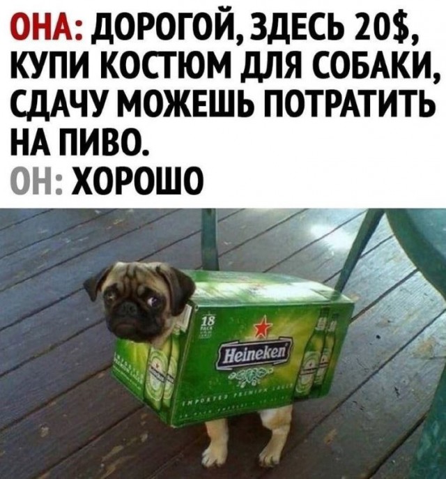 Картинки для деградации 188 (разной степени свежести)