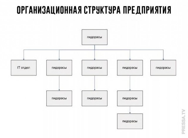 Веселые картинки в понедельник (27.04)