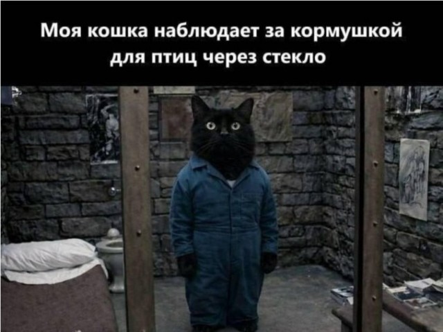 Картиночки, баянчики 01 июня