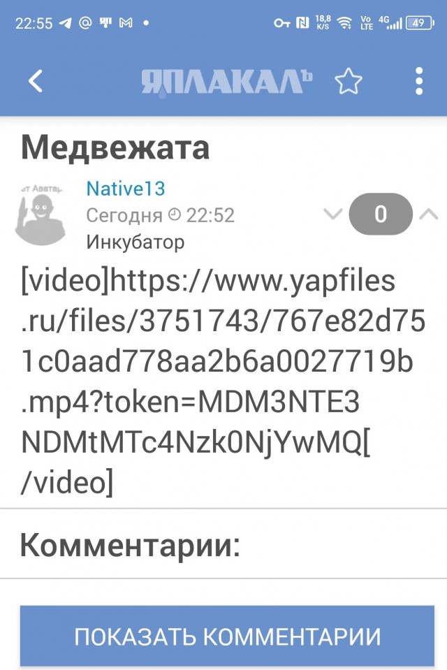 Медвежата