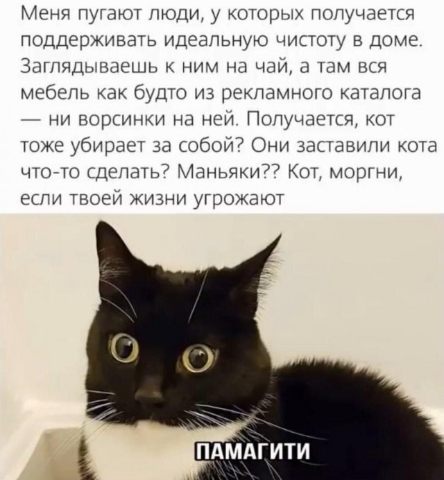Так себе картинки 12.10.26