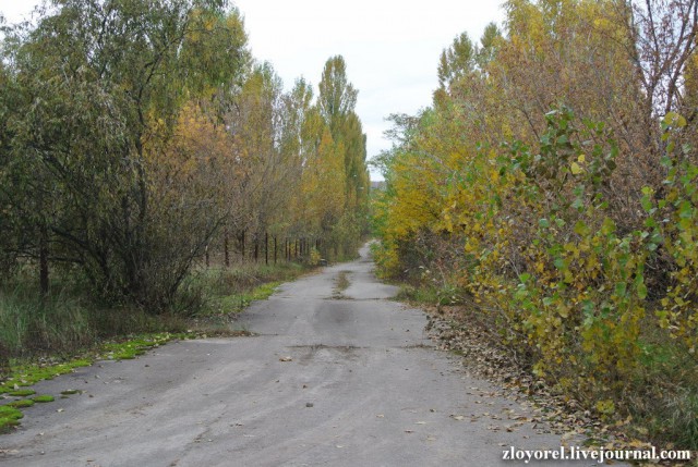 Чернобыльская Зона Отчуждения