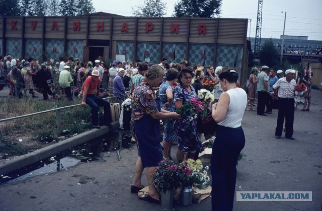 Через всю страну с фотоаппаратом в 1980 году.