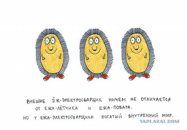 Интересные факты о ежах