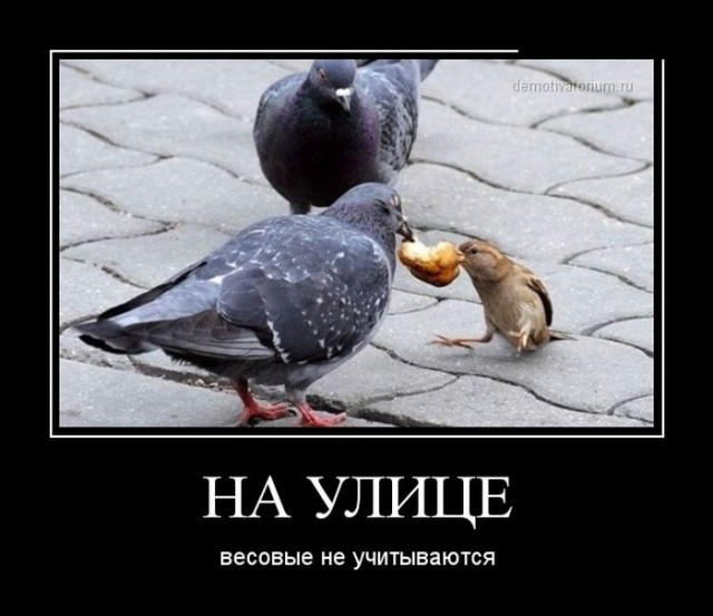Демотиваторов пост, добавляйте свои