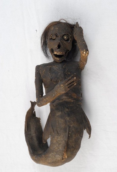 Ученые исследуют мумию русалки