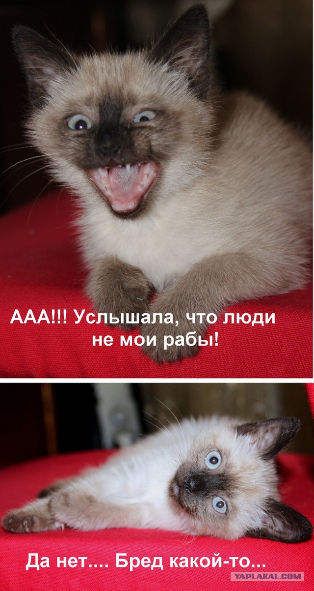 15 мощных фотографий о том, как может измениться
