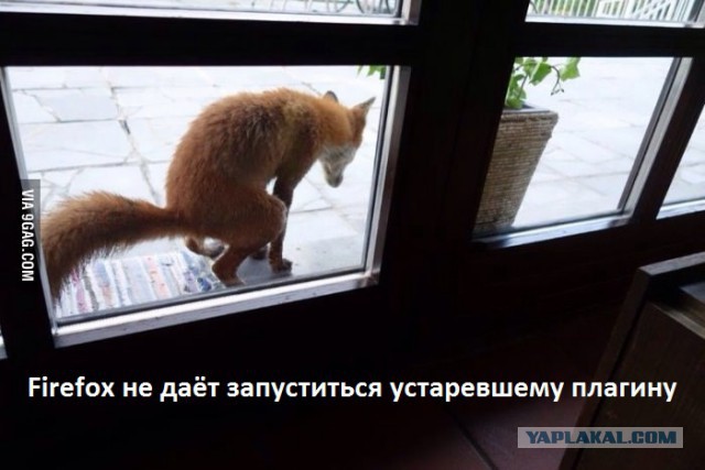 Нежданная гостья