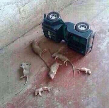 Авария.Гелик.6 трупов.Жесть!(21+)