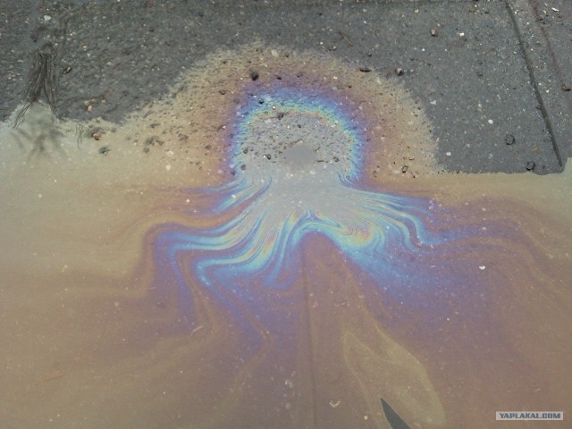 Ледяная зима