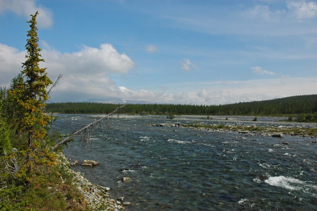 Деревенская Америка