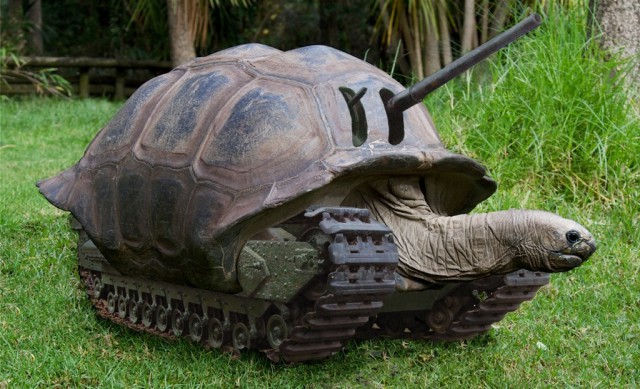 Wargaming 28