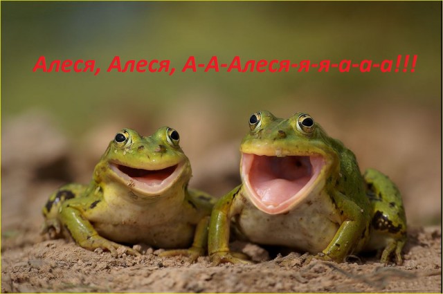 Нестандартный ЯПовчанин, привет Олеся!