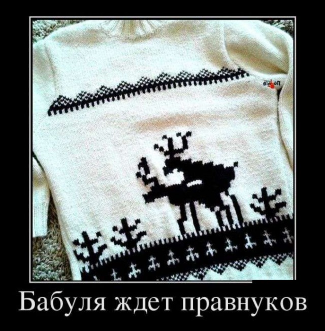 Подборка прикольных фото на пятницу