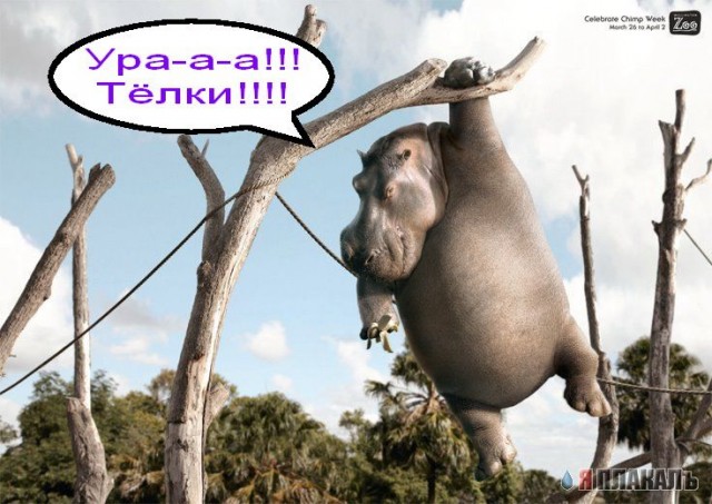 Уже да :) Ужо пятнецца...