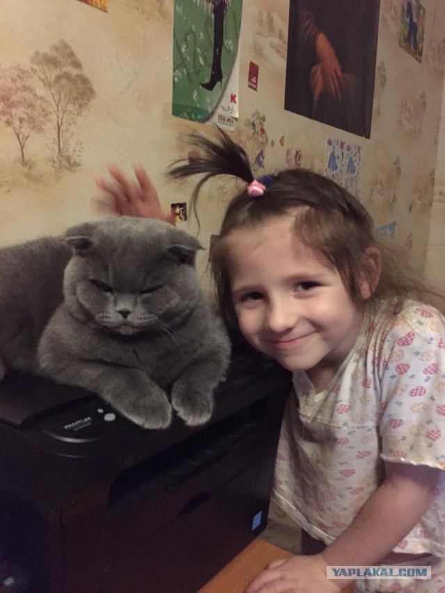 Котовторник 16.02.16