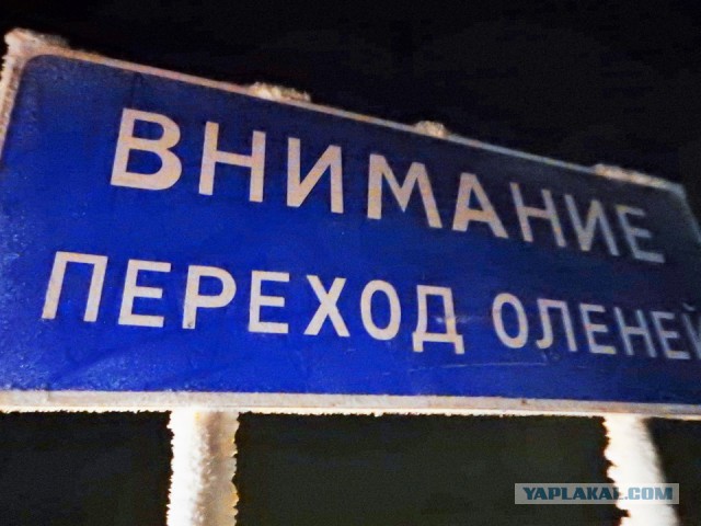 По зимникам на Запорожце