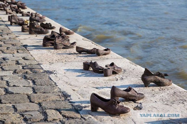 Обувь Дуная