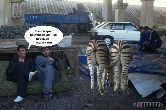 Фотожаба: Невидимый зверь
