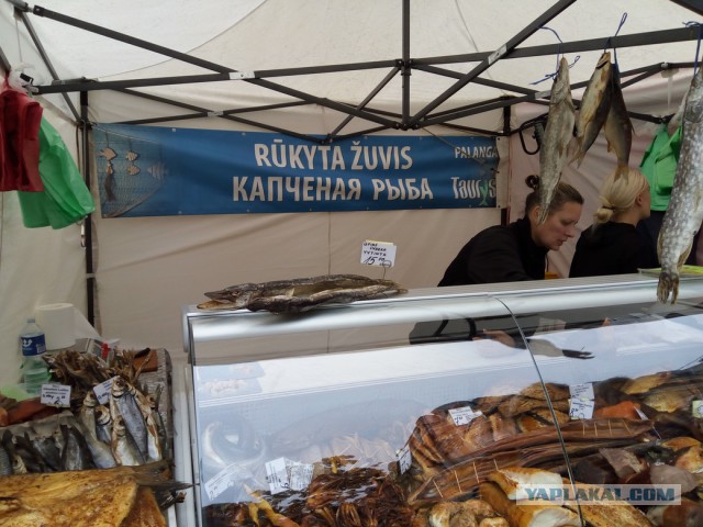Дни столицы 2016 в Вильнюсе.