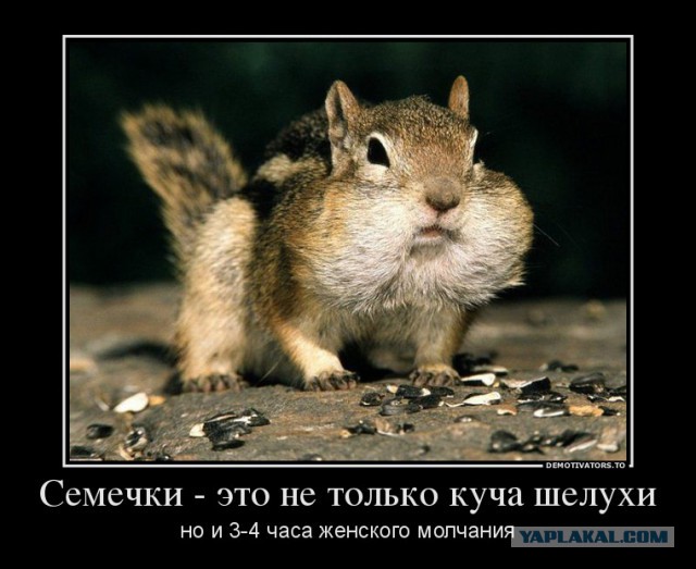 Про пожрать в транспорте!