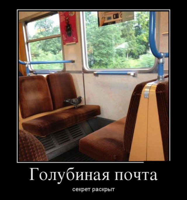 Порция картинок из сети.