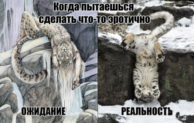 Картинки из ваших интернетов