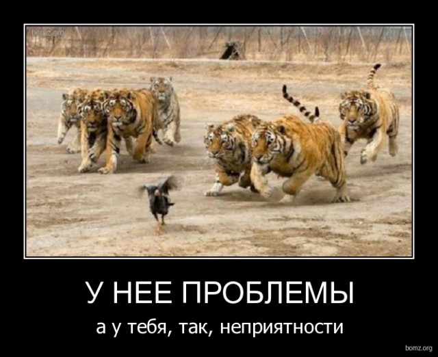 Подборка интересных и веселых картинок