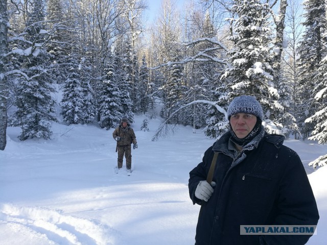 Мой родной сибирский поселок
