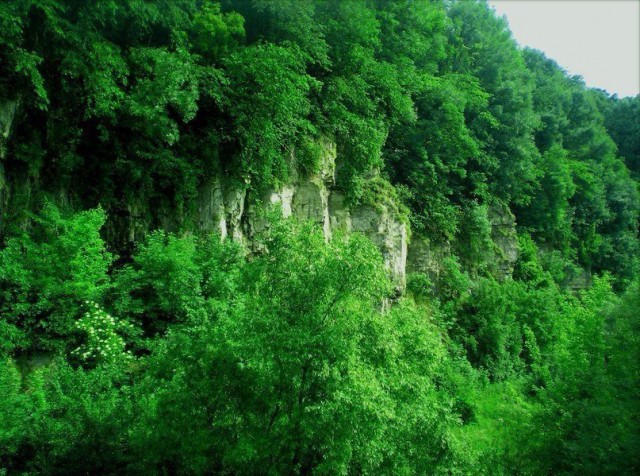 Моменты, запечатлённые на фото и просто позитив 5