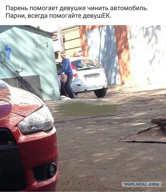 Очередная порция перлов