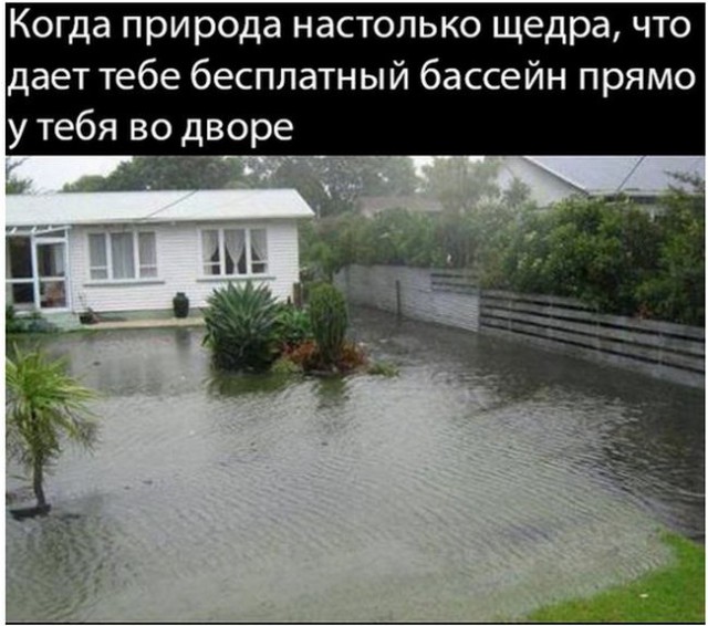 Подборка безудержного веселья