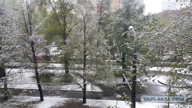 Голицыно, Подмосковье. 100-е февраля.