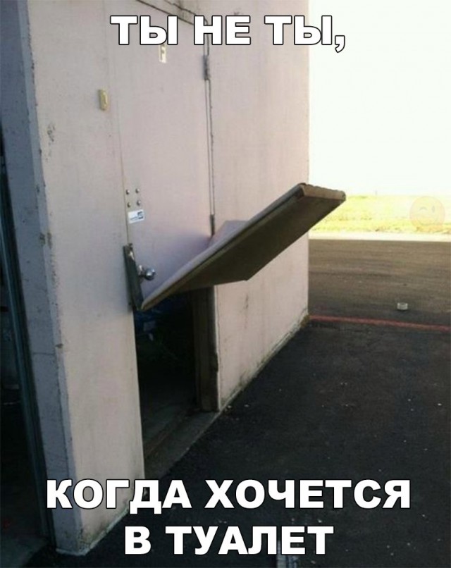Подборка безудержного веселья