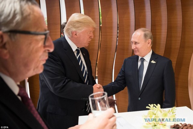 Фото: Первая встреча Путина и Трампа