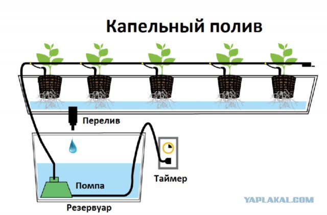 История о том, как IT-шники в кабинете ремонт делали