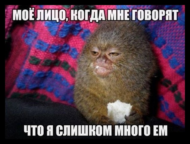 30 картинок с надписями на разные темы