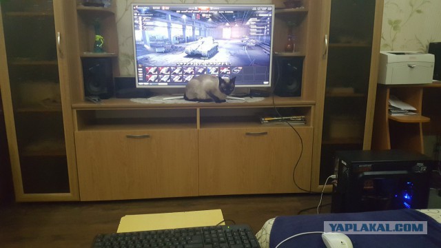 Wargaming 50! Пыщ пыщ, пробил! Урааа!