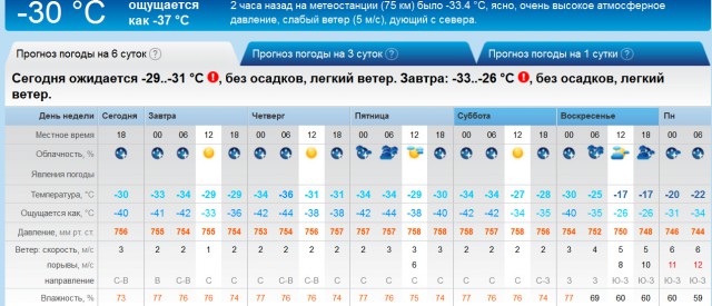 Заяц замёрз в заборе